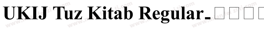 UKIJ Tuz Kitab Regular字体转换